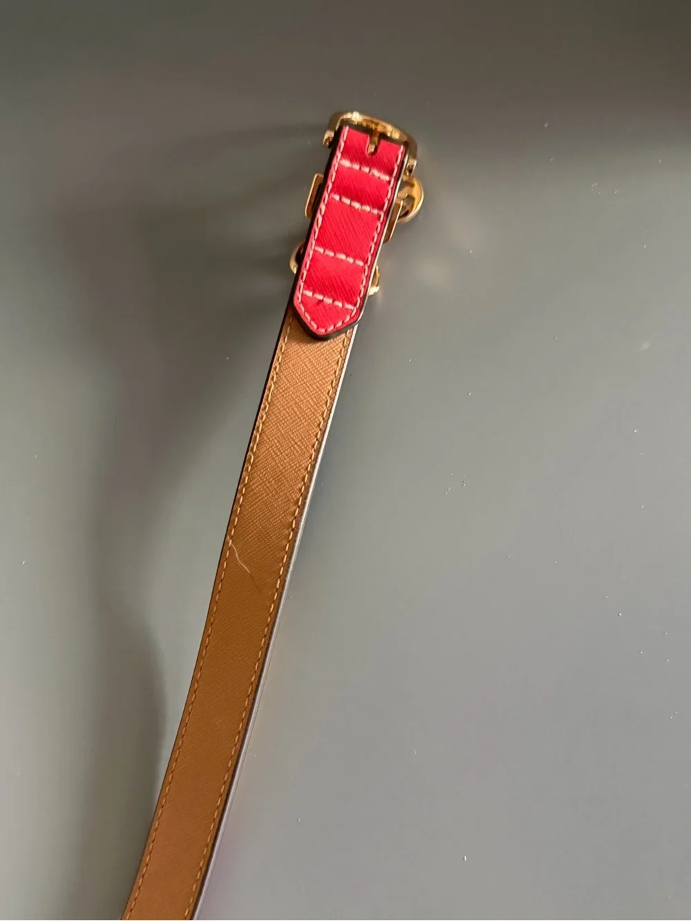 Tory Burch Dog Collar Multi Stripe Color M/L